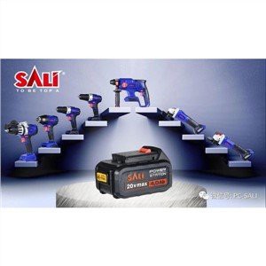 Batería Lion con adaptador de carga